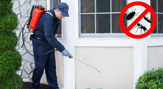 Akçakale Karınca İlaçlama böcek ilaçlama ve haşere kontrolü — ilaclama-tr.com